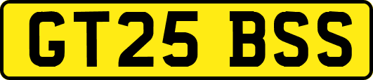 GT25BSS