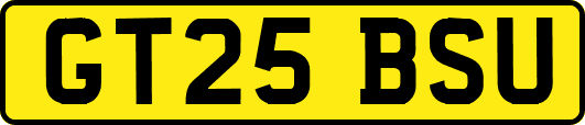 GT25BSU