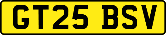 GT25BSV
