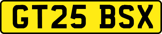 GT25BSX