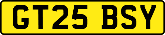 GT25BSY