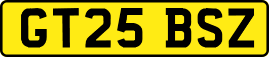 GT25BSZ
