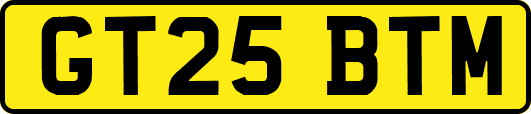 GT25BTM