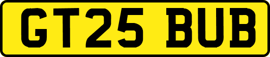 GT25BUB