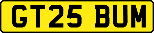 GT25BUM