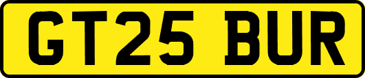 GT25BUR