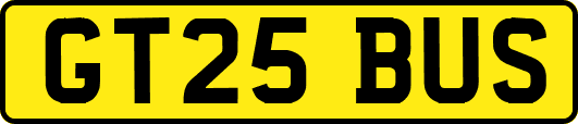 GT25BUS