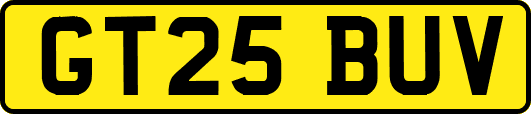 GT25BUV