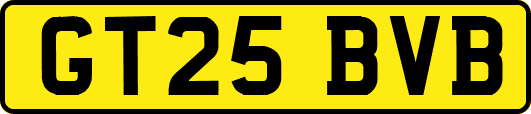 GT25BVB