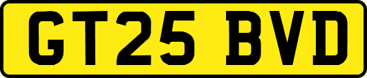 GT25BVD