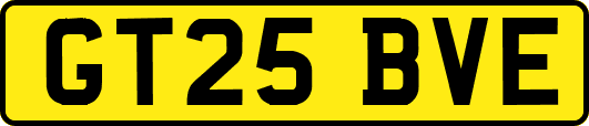 GT25BVE