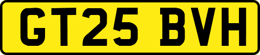 GT25BVH