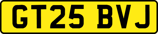 GT25BVJ