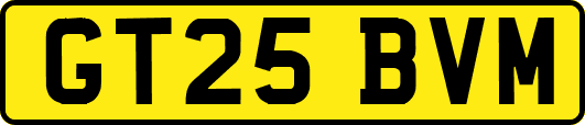 GT25BVM