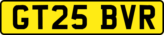 GT25BVR