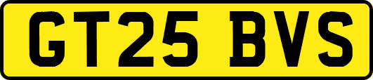 GT25BVS