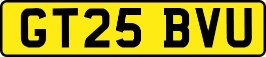 GT25BVU