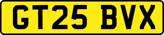 GT25BVX