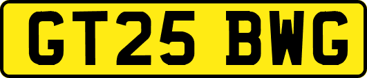 GT25BWG