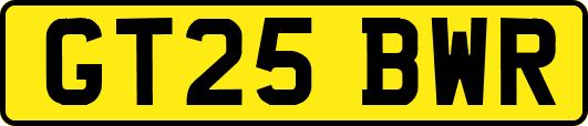 GT25BWR