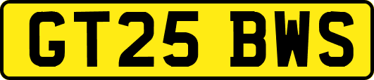 GT25BWS