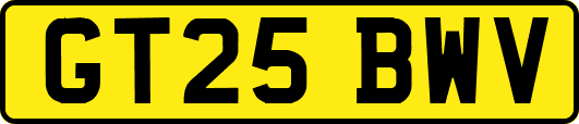 GT25BWV