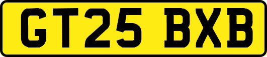 GT25BXB