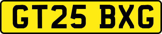 GT25BXG