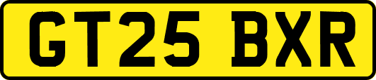 GT25BXR