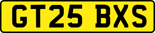 GT25BXS
