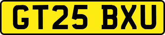 GT25BXU