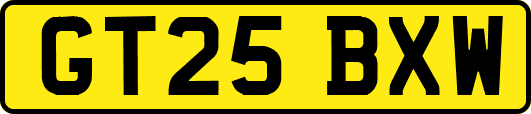 GT25BXW