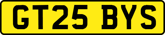 GT25BYS