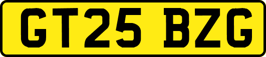 GT25BZG