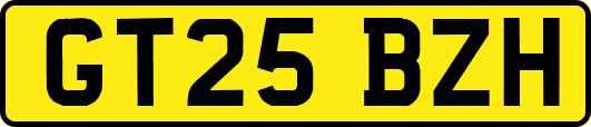 GT25BZH