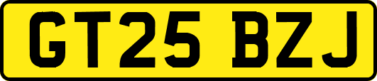 GT25BZJ