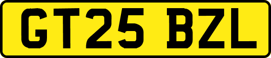 GT25BZL