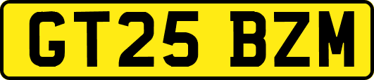 GT25BZM