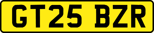 GT25BZR