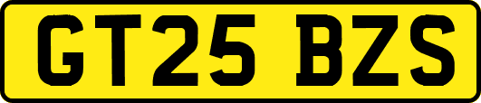 GT25BZS