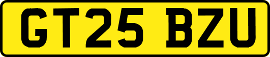 GT25BZU
