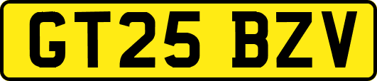 GT25BZV