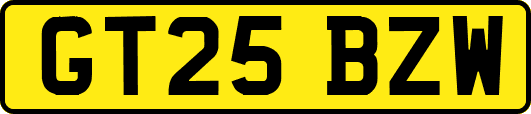 GT25BZW