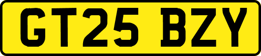 GT25BZY