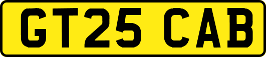 GT25CAB