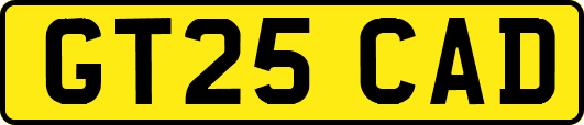 GT25CAD