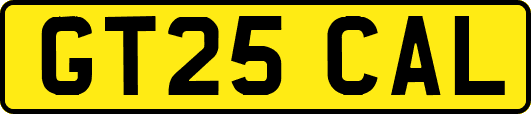 GT25CAL