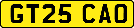 GT25CAO