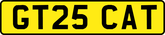GT25CAT
