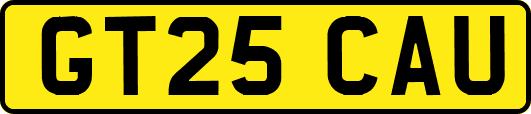 GT25CAU